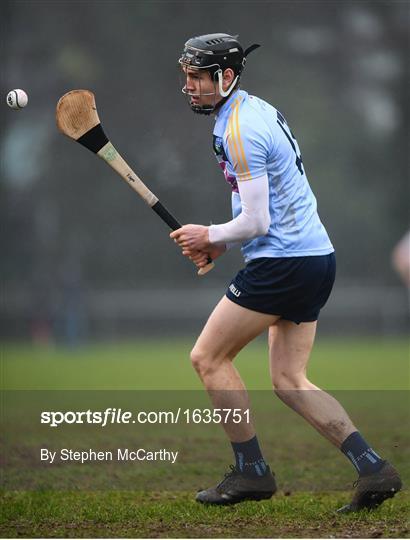 UCC v UCD - Electric Ireland Fitzgibbon Cup Group A Round 2