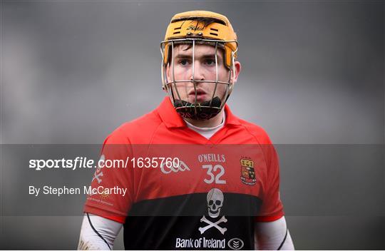 UCC v UCD - Electric Ireland Fitzgibbon Cup Group A Round 2