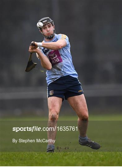 UCC v UCD - Electric Ireland Fitzgibbon Cup Group A Round 2