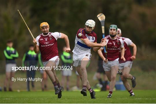 N.U.I. Galway V University of Limerick - Electric Ireland Fitzgibbon Cup Group A Round 2 N.U.I. Galway V University of Limerick - Electric Ireland Fitzgibbon Cup Group A Round 2