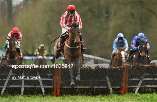 Gowran Park Racing