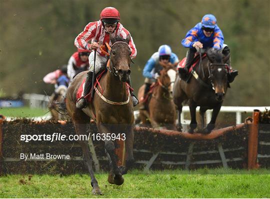 Gowran Park Racing