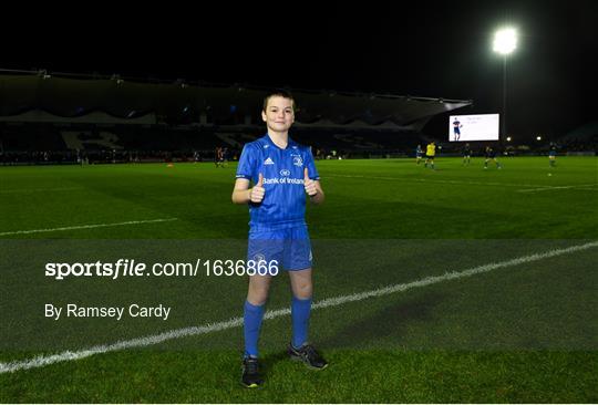 Mascots at Leinster v Scarlets - Guinness PRO14 Round 14