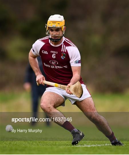 N.U.I. Galway V University of Limerick - Electric Ireland Fitzgibbon Cup Group A Round 2