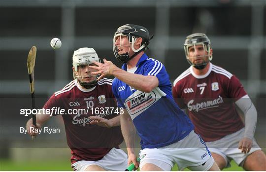 Galway v Laois - Allianz Hurling League Division 1B Round 1