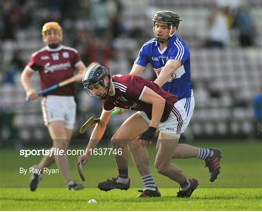 Galway v Laois - Allianz Hurling League Division 1B Round 1