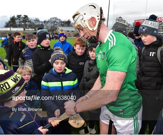 Wexford v Limerick - Allianz Hurling League Division 1A Round 1