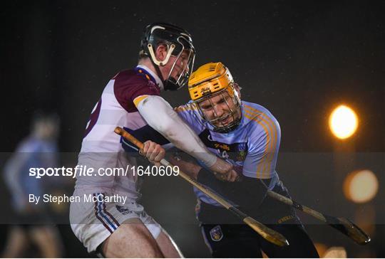 UCD v UL - Electric Ireland Fitzgibbon Cup Group A Round 3 UCD v UL - Electric Ireland Fitzgibbon Cup Group A Round 3