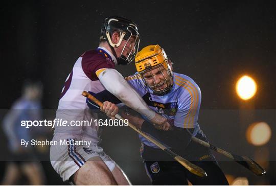 UCD v UL - Electric Ireland Fitzgibbon Cup Group A Round 3