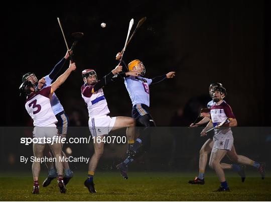 UCD v UL - Electric Ireland Fitzgibbon Cup Group A Round 3 UCD v UL - Electric Ireland Fitzgibbon Cup Group A Round 3