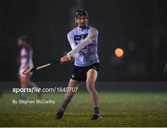 UCD v UL - Electric Ireland Fitzgibbon Cup Group A Round 3