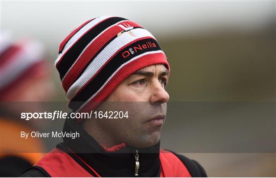 Tyrone v Louth - Allianz Hurling League Division 3A Round 2