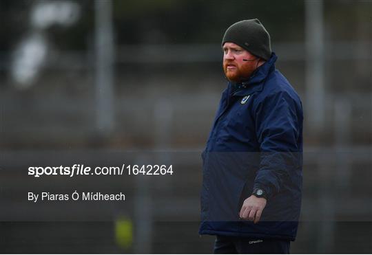 Roscommon v Monaghan - Allianz Hurling League Division 3A Round 2