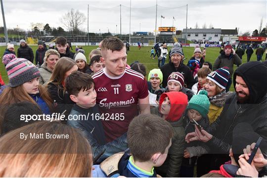 Carlow v Galway - Allianz Hurling League Division 1B Round 2