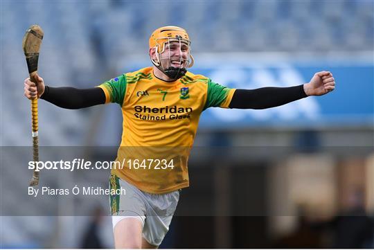 Castleblayney v Dunnamaggin - AIB GAA Hurling All-Ireland Junior Championship Final