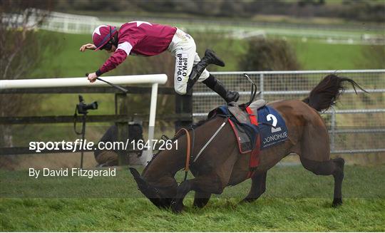 Horse Racing from Punchestown