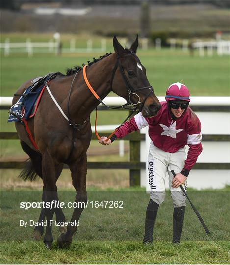 Horse Racing from Punchestown