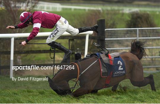 Horse Racing from Punchestown