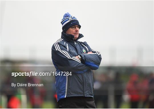 Monaghan v Galway - Allianz Football League Division 1 Round 3