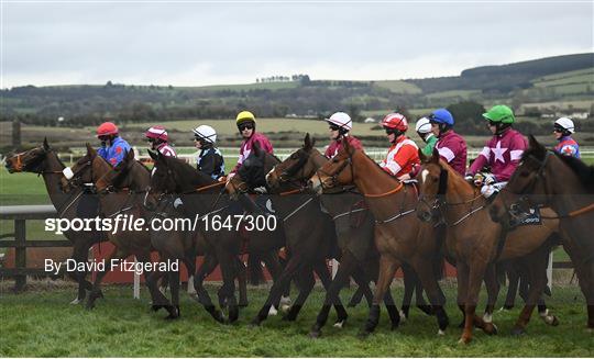 Horse Racing from Punchestown Horse Racing from Punchestown