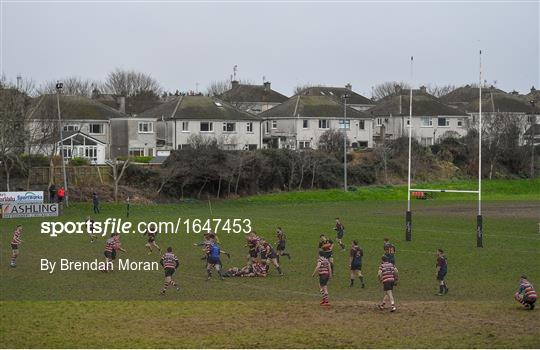 Skerries RFC v Enniscorthy RFC - Bank of Ireland Provincial Towns Cup Round 2