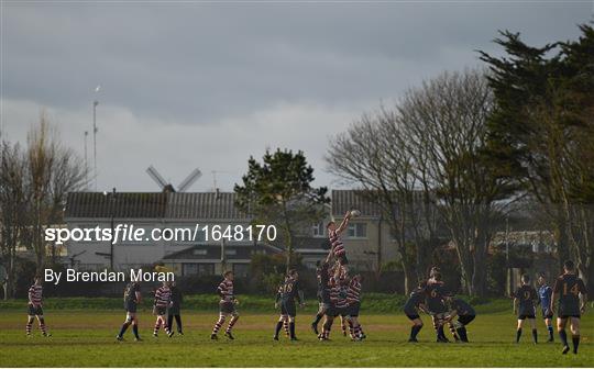 Skerries RFC v Enniscorthy RFC - Bank of Ireland Provincial Towns Cup Round 2