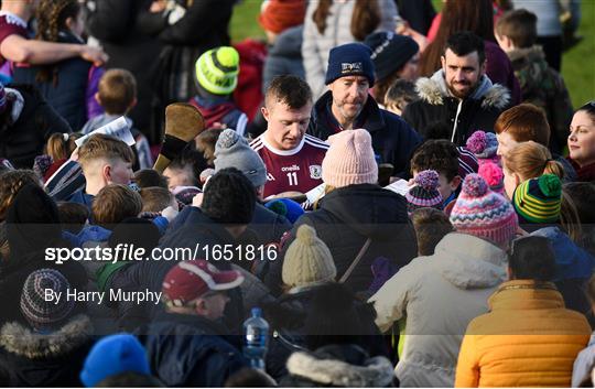 Galway v Dublin - Allianz Hurling League Division 1B Round 3