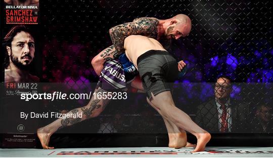 Bellator 217 Bellator 217