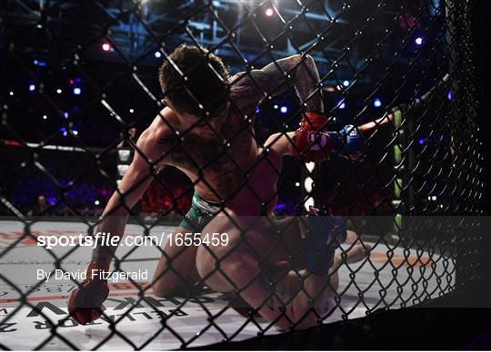 Bellator 217 Bellator 217