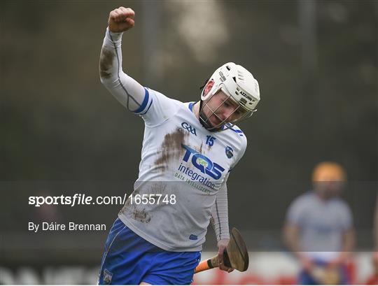 Dublin v Waterford - Allianz Hurling League Division 1B Round 4