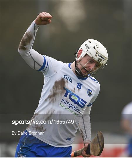 Dublin v Waterford - Allianz Hurling League Division 1B Round 4 Dublin v Waterford - Allianz Hurling League Division 1B Round 4