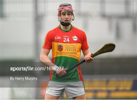 Carlow v Laois - Allianz Hurling League Division 1B Round 4 - 1656277 - Sportsfile