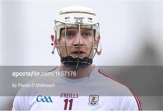 Wexford v Galway - Bord na Móna Walsh Cup Final