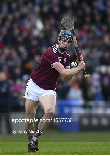 Galway v Dublin - Allianz Hurling League Division 1B Round 3