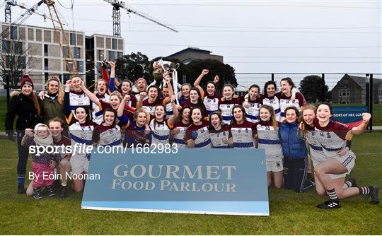 University of Limerick v University College Dublin - Gourmet Food Parlour O’Connor Cup Final