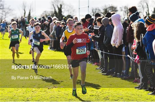 Irish Life Health All Ireland Schools Cross Country