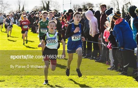 Irish Life Health All Ireland Schools Cross Country