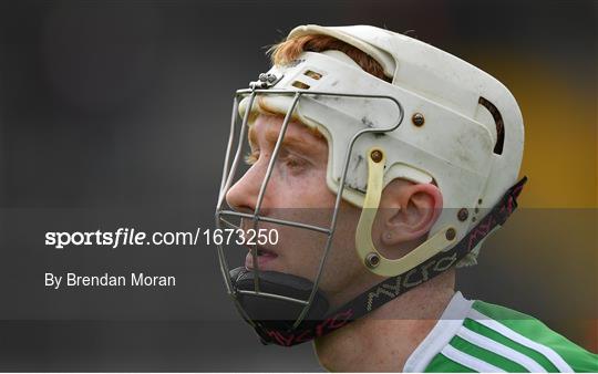 Limerick v Dublin - Allianz Hurling League Division 1 Semi-Final