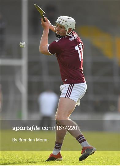 Galway v Waterford - Allianz Hurling League Division 1 Semi-Final