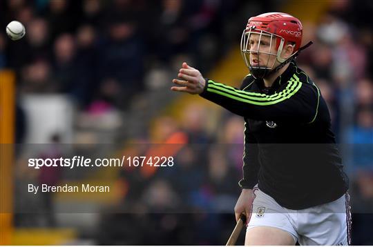 Galway v Waterford - Allianz Hurling League Division 1 Semi-Final