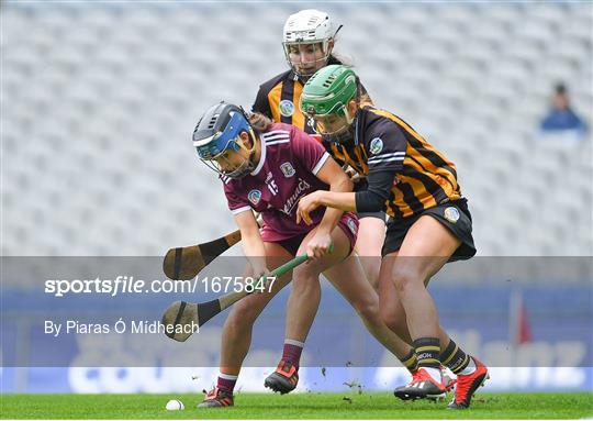 Kilkenny v Galway - Littlewoods Ireland Camogie League Division 1 Final