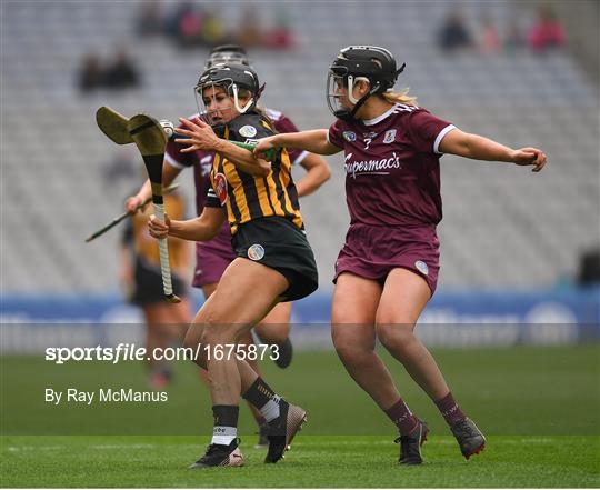 Kilkenny v Galway - Littlewoods Ireland Camogie League Division 1 Final