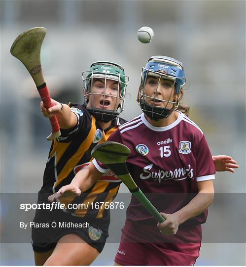 Kilkenny v Galway - Littlewoods Ireland Camogie League Division 1 Final