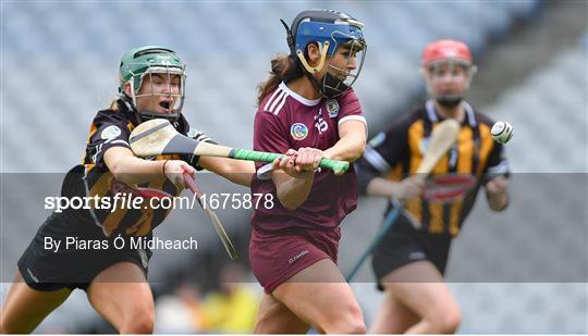 Kilkenny v Galway - Littlewoods Ireland Camogie League Division 1 Final