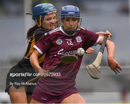 Kilkenny v Galway - Littlewoods Ireland Camogie League Division 1 Final