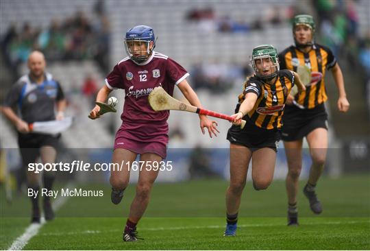 Kilkenny v Galway - Littlewoods Ireland Camogie League Division 1 Final