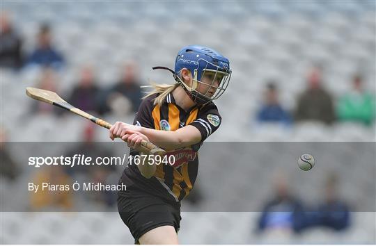 Kilkenny v Galway - Littlewoods Ireland Camogie League Division 1 Final