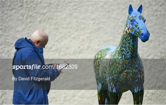 Horse Racing from Naas