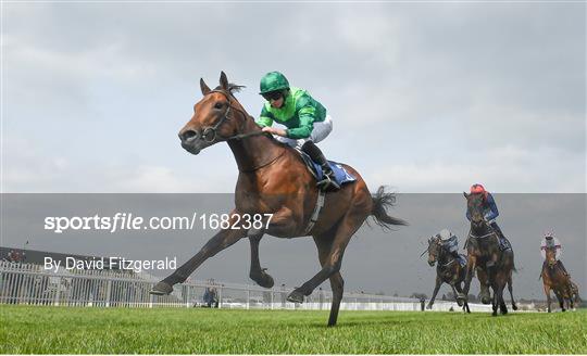 Horse Racing from Naas