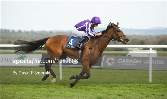 Horse Racing from Naas